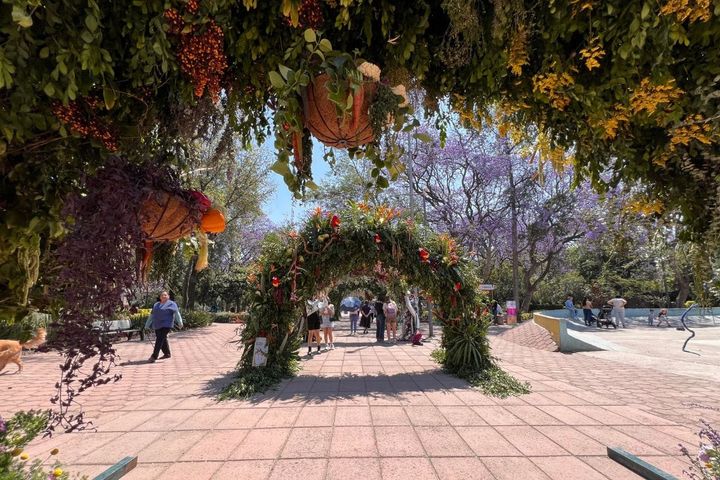 TWIF LatAm April 6 - New Financing for Fintechs Across LatAm