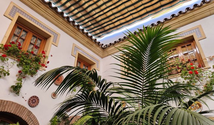 A week of verticals (TWIF - MENA 29/05)