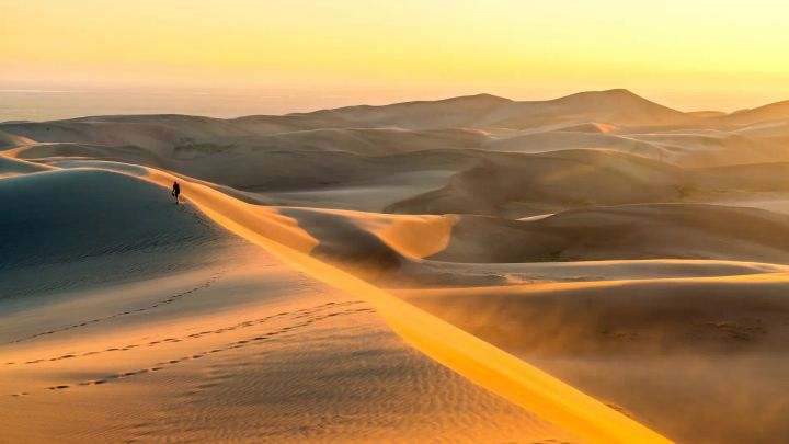 A stroke of GENIUS (TWIF 6/20)