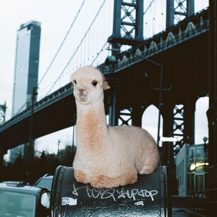 Why can't Gen Z buy homes? (TWIF 8/16)