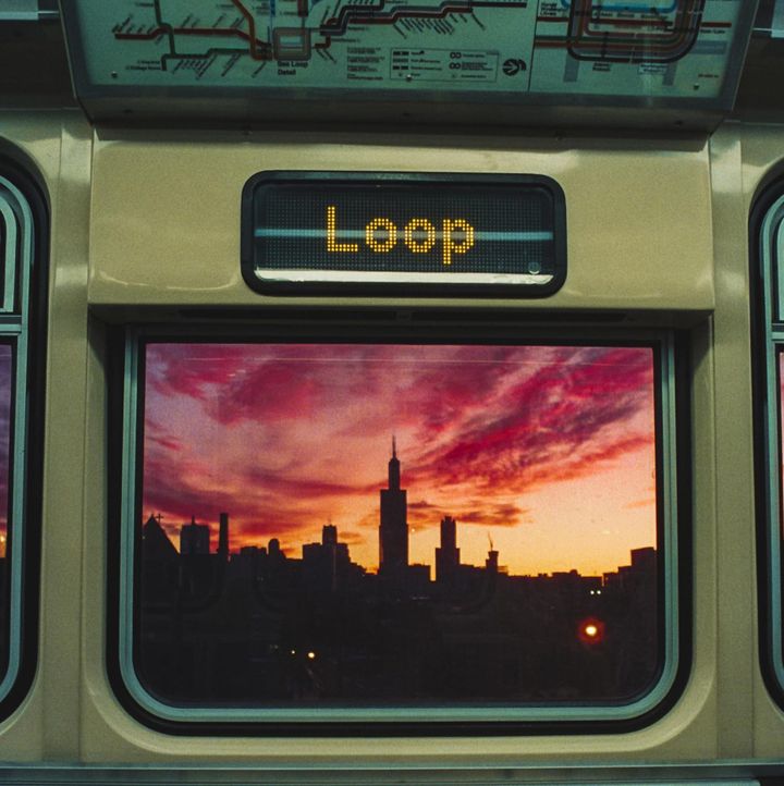 When the ducks are quacking... (TWIF 8/17)