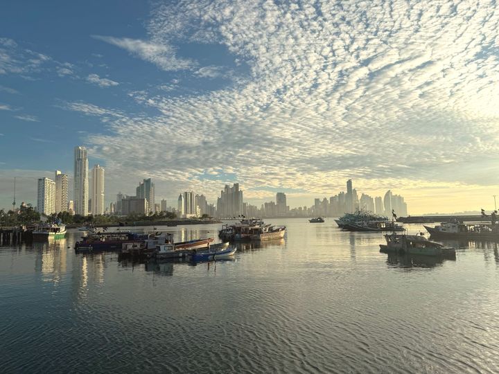 TWIF LatAm September 14 - Don’t miss out on our September events!