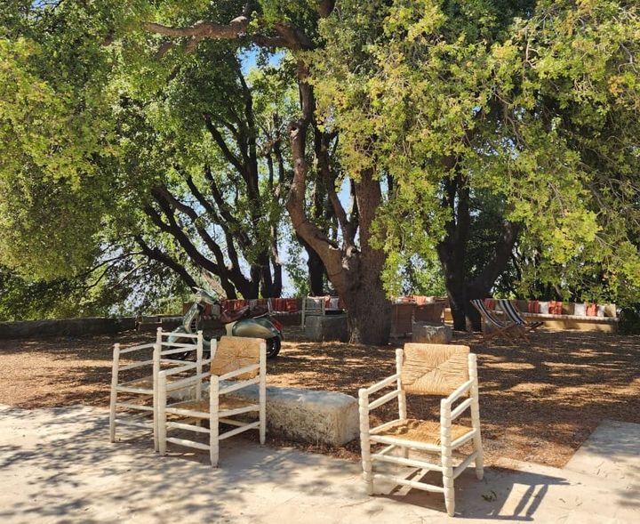 Return to the grind 🚦 (TWIF - MENA 04/09)