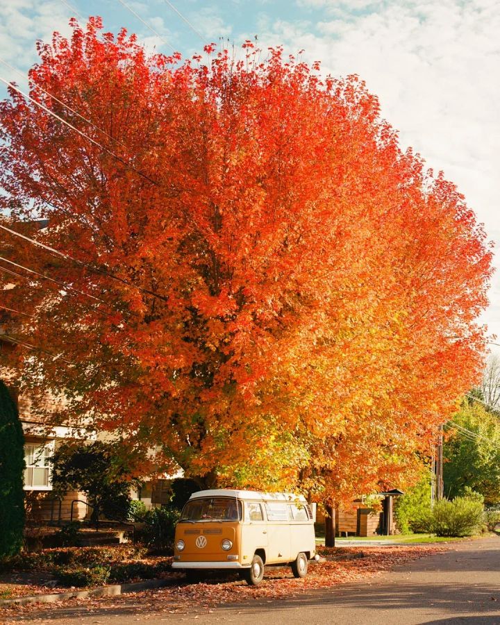 Tether is playing a different game (TWIF 9/27)