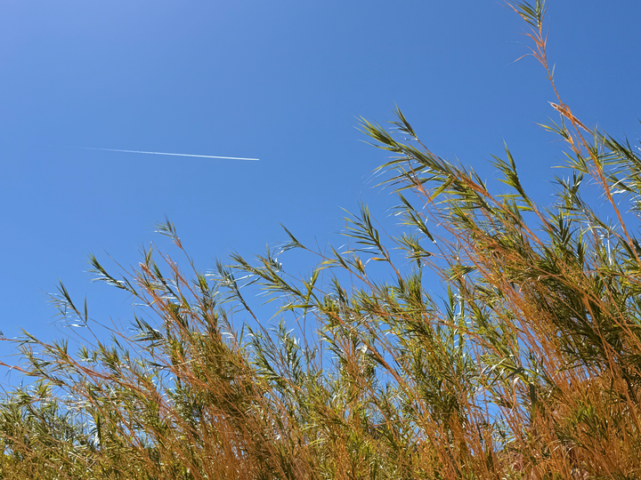 Fintech is having a cross-border moment (TWIF - MENA 09/10)