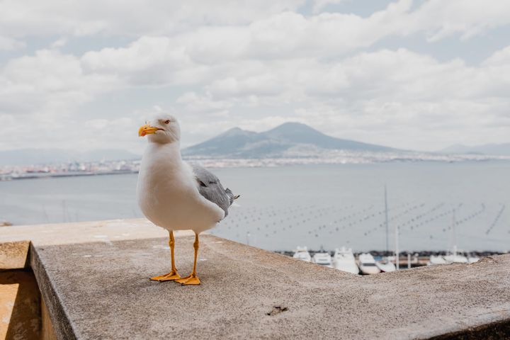 Wealthtech FNZ raises $650M (TWIF 11/15)