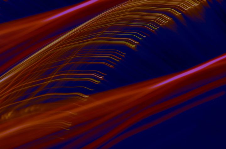 Exclusive: Gusto launching payroll inside ChatGPT