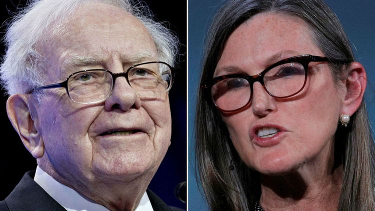 Chinese EV Stocks ⚡ BYD vs Tesla Killers (NIO, XPEV) 🤔 Warren Buffet & Cathie Wood Stocks