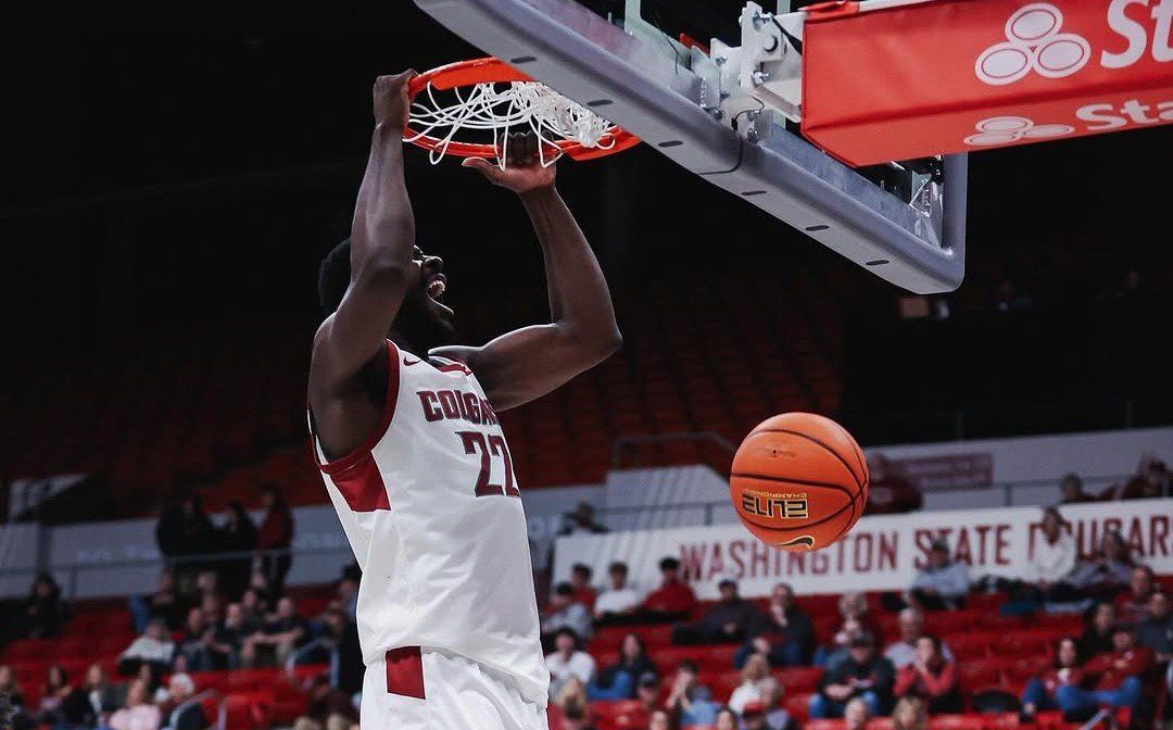 Cougars Basketball Roster Rundown: ND Okafor