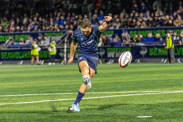 Preview: Seawolves Host Undefeated Chicago Hounds, Need Old Mate Upset to Avoid Early-Season Hole