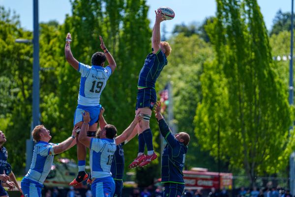 Coetzer Shines as Seawolves Wallop Anthem 57-21, Move into Second Place