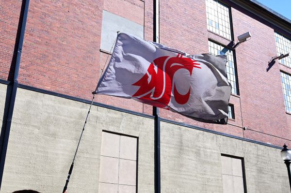 Washington State Cougars Fire AD Anne McCoy; What’s Behind Bold Move?