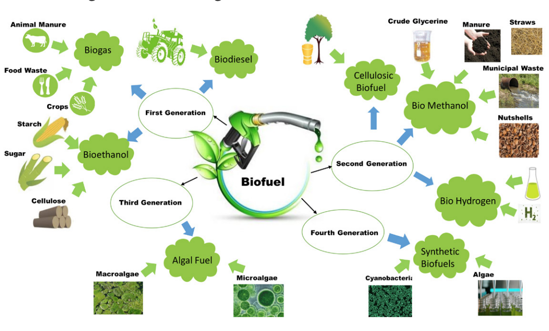 Biofuels - Diagram