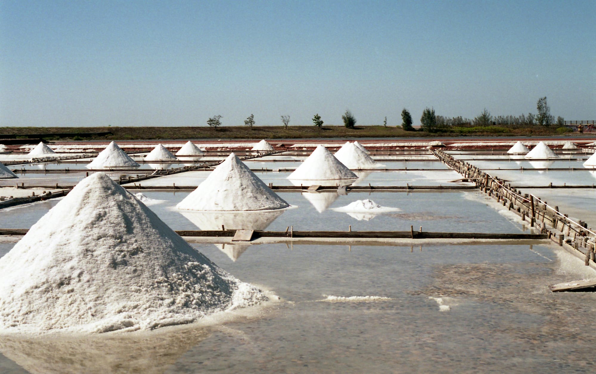 Salt Mounts in a Field
