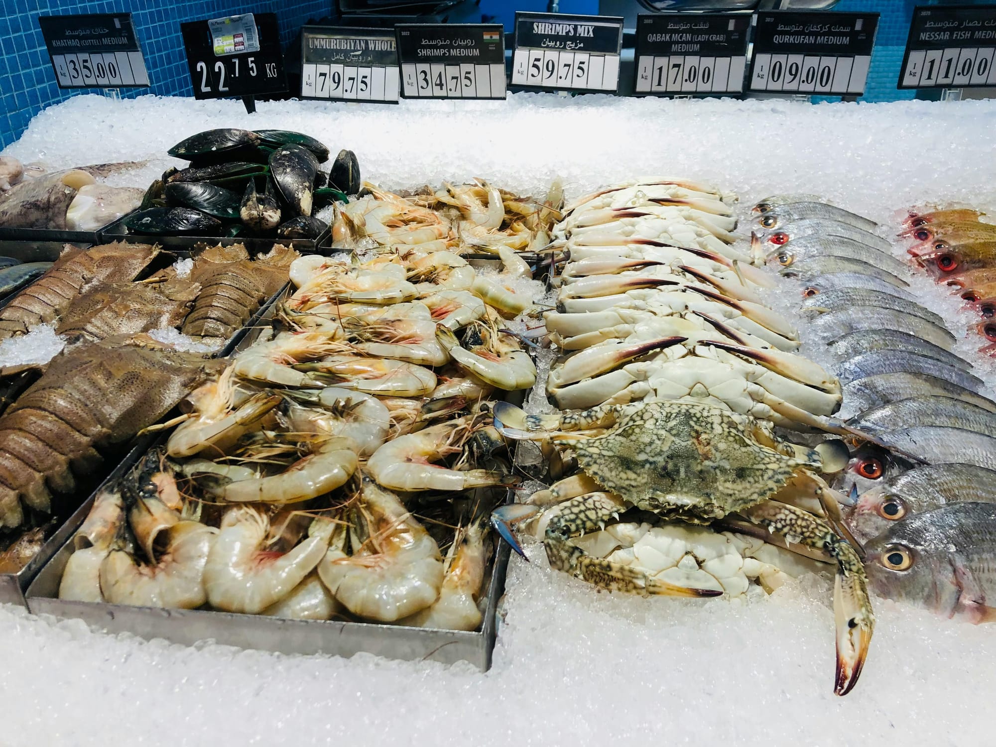 Close-up of Seafood in the Market