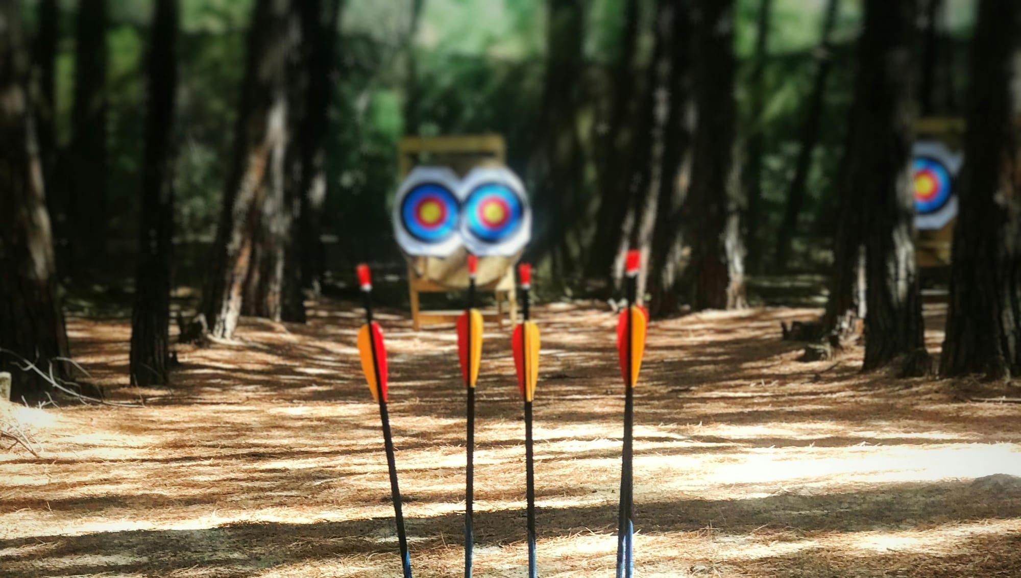 Archery Range with Targets and Arrows