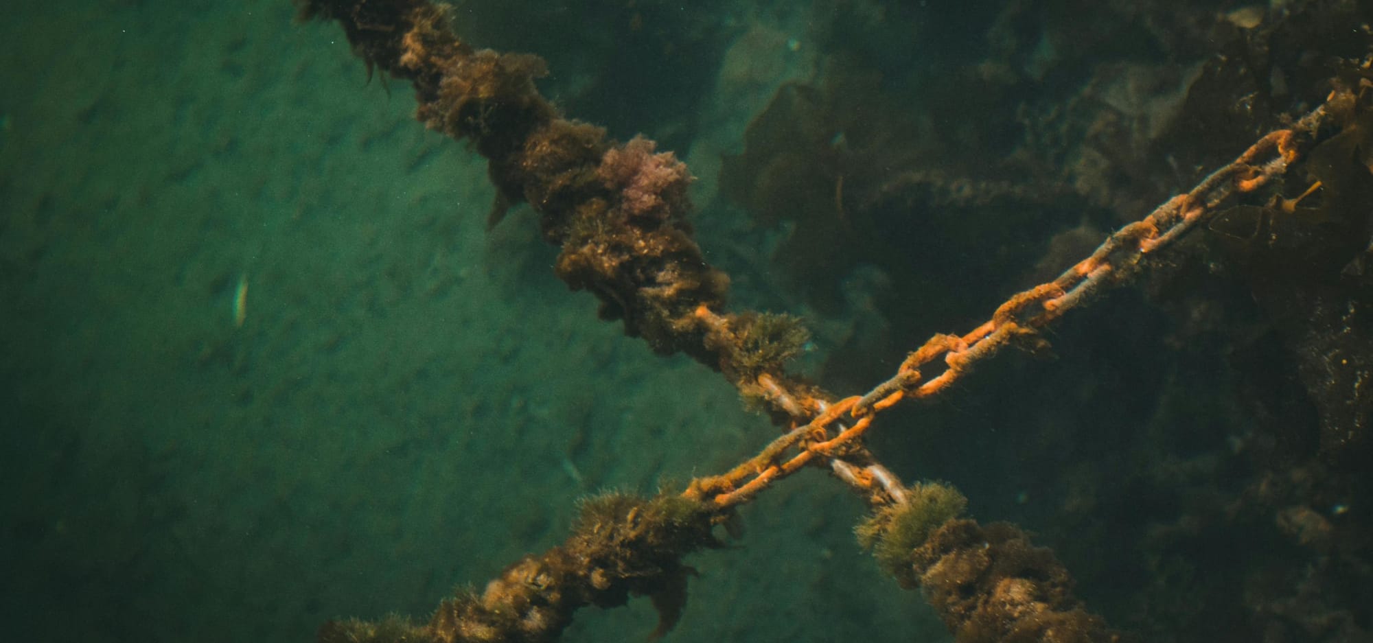 Rusty Chains Underwater - An Example of biofouling
