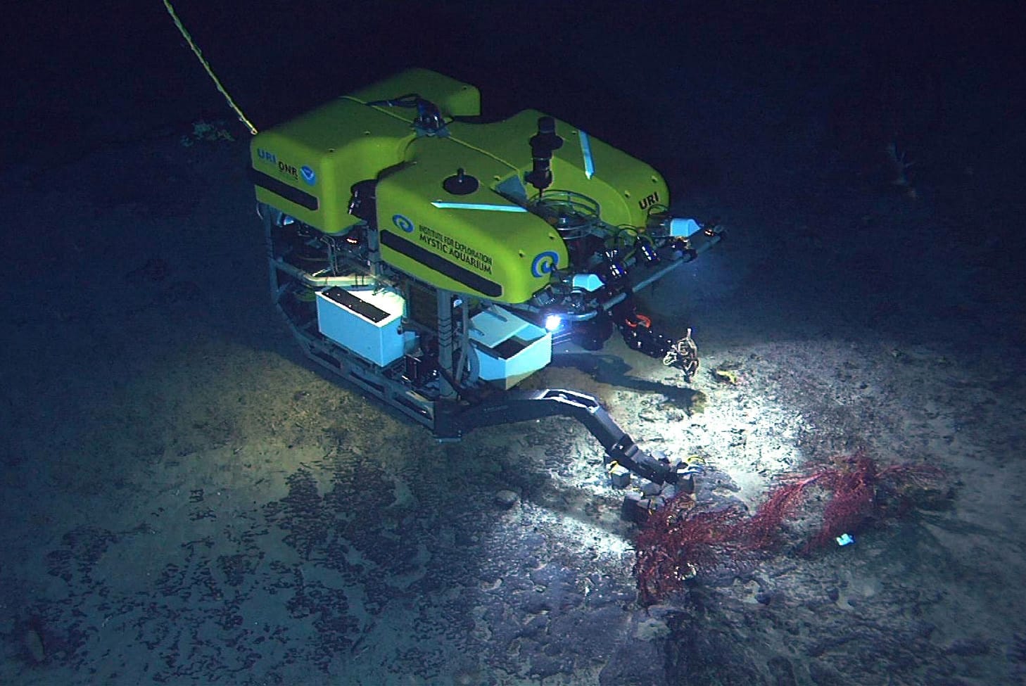 ROV Hercules recovers an experiment from the New England Seamounts