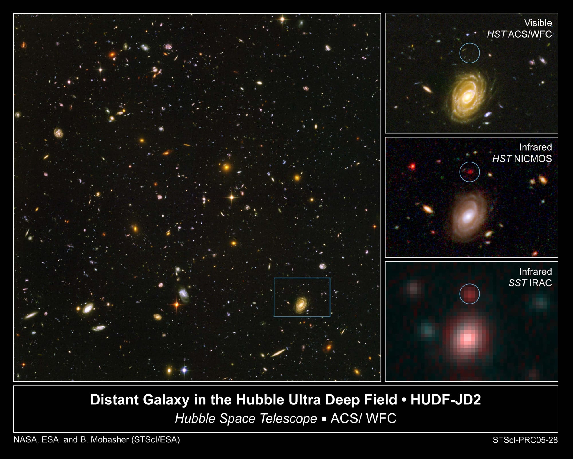 Infrared observations can see objects hidden in visible light
