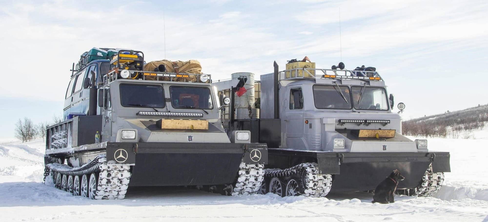 Heavy snow vehicles parked in a winter landscape with a dog nearby.