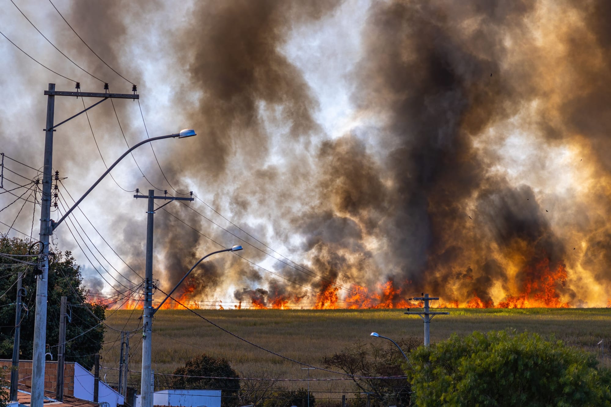 Wildfire spreads through a field