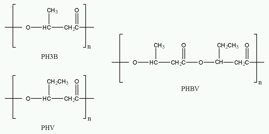 Chemical structures of P3HB, PHV and their copolymer PHBV