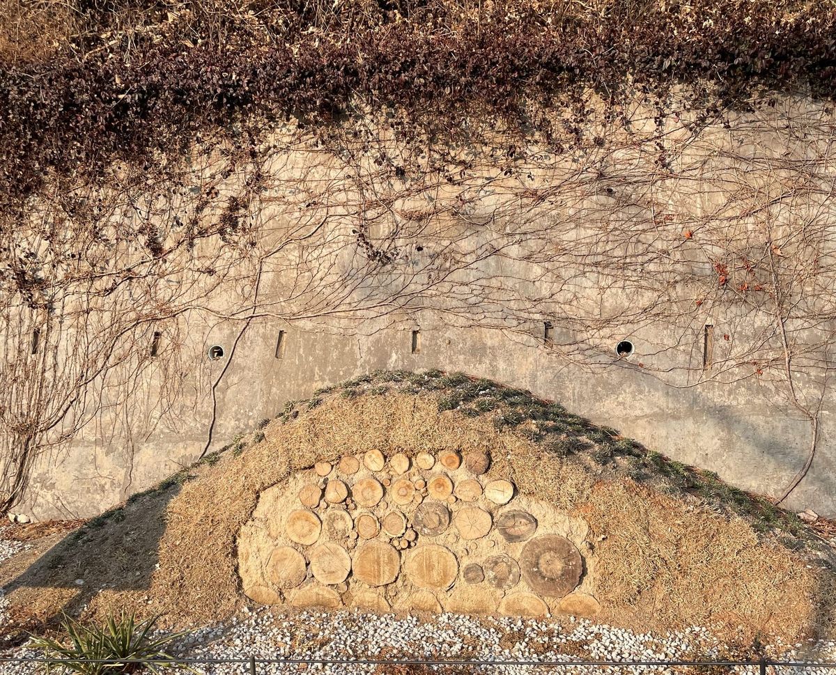 Hügelkultur in Seoul, South Korea