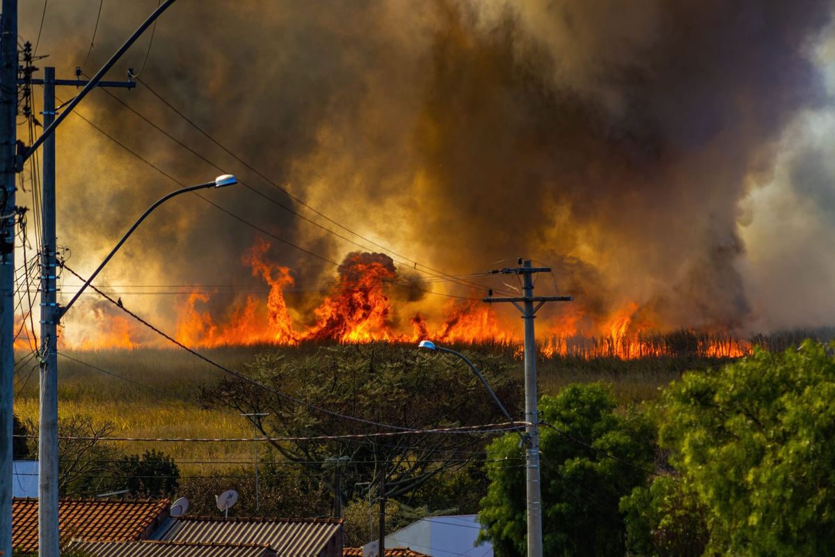 Wildfire spreads through a field