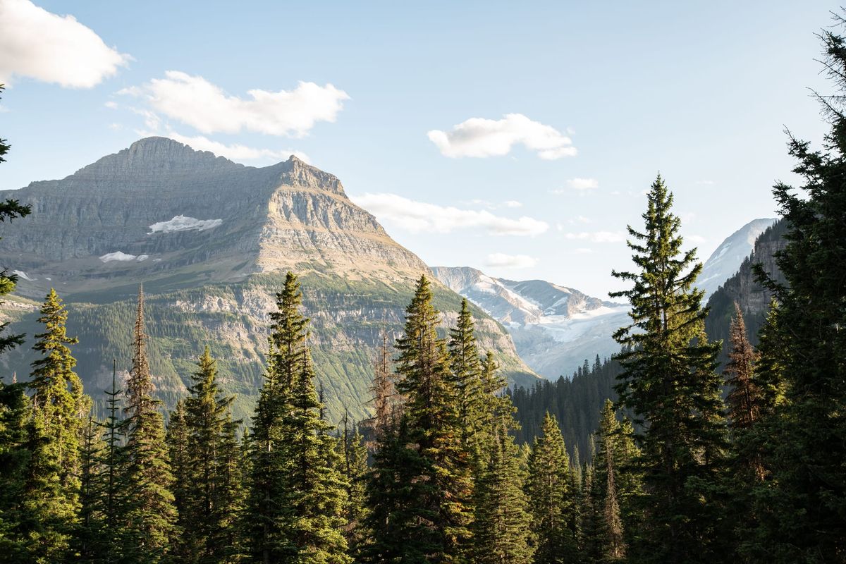 View of mountains and pine forests in Glacier National Park, Montana.