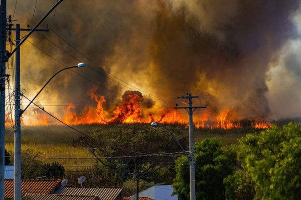 Wildfire spreads through a field