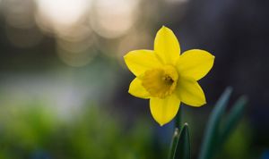 LTN news round-up #5