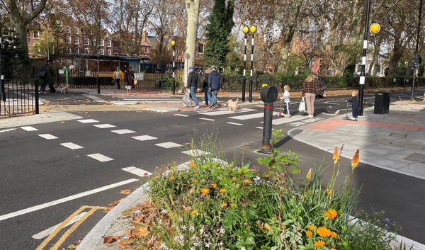 People walk across the new parallel zebra crossing with flowers in foreground.