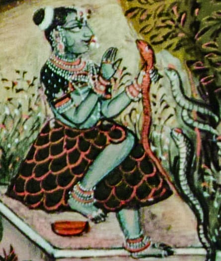 The Eel-Wriggler