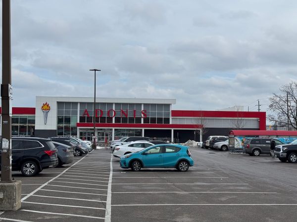 Marché Adonis: Applewood’s best supermarket for fresh, mediterranean flavours