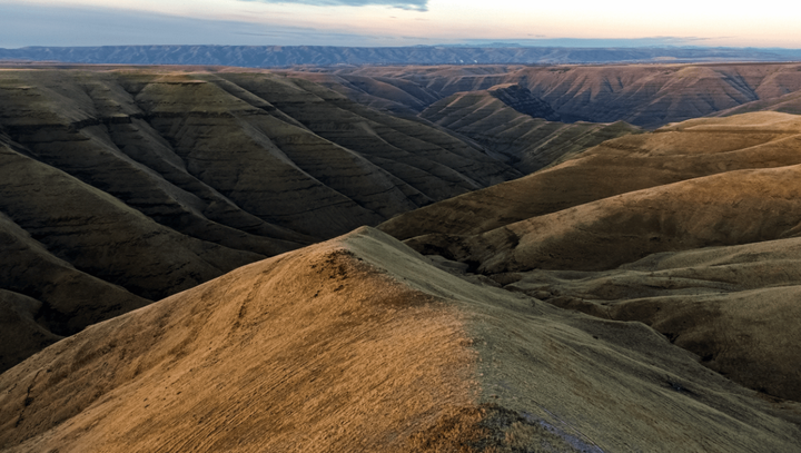 What We’re Made Of: The Natural Bonds of WA-5