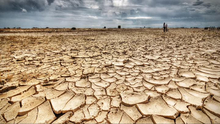 Dry Wells, Empty Fields: Eastern Washington's Drought Crisis Deepens