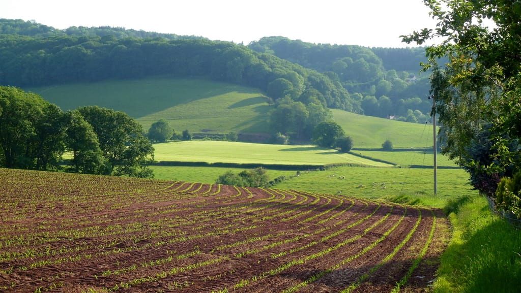 Pomladni tedenski jedilnik za sladkornega bolnika - 1. teden v marcu