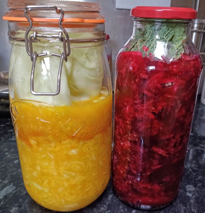 Domače kisanje zelja