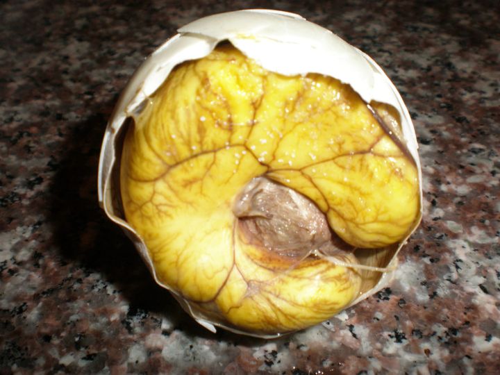 Balut: filipinska delikatesa