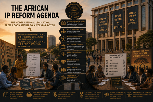 DOCUMENT 07 // The African IP Reform Agenda
