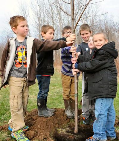 A TREE GROWS IN EASTPORT