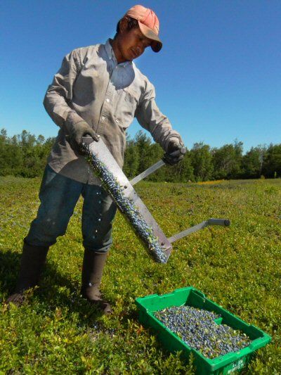 A MIGRANT WORKER