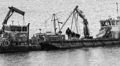 RAISING THE MISS TESS,