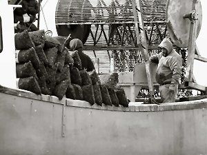 Image from index4-24-09.html