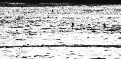 WORKING THE FLATS,