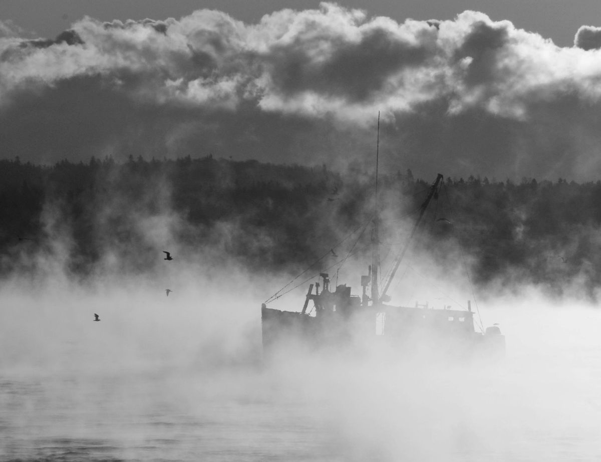 ENGULFED IN SEA SMOKE,