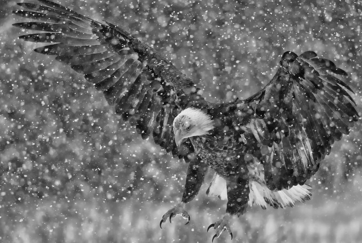 Image from index2-13-09.html