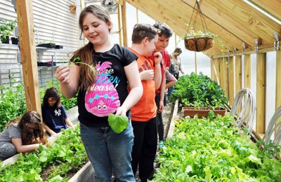 LETTUCE CELEBRATE SPRING!