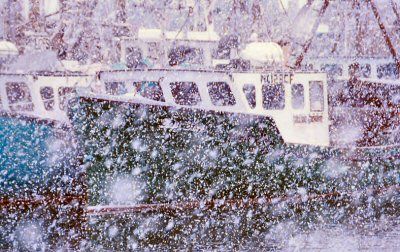 A WINTER'S DAY IN DOWNEAST MAINE