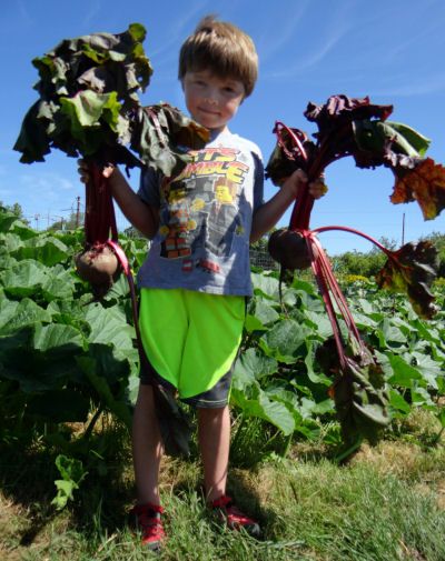 EAT LOCAL